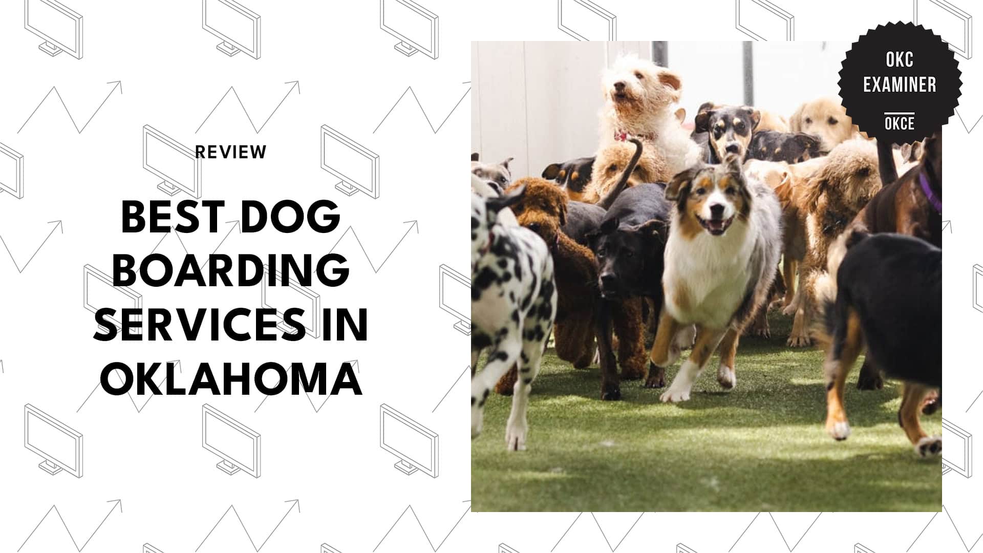 dog-boarding-services-oklahoma