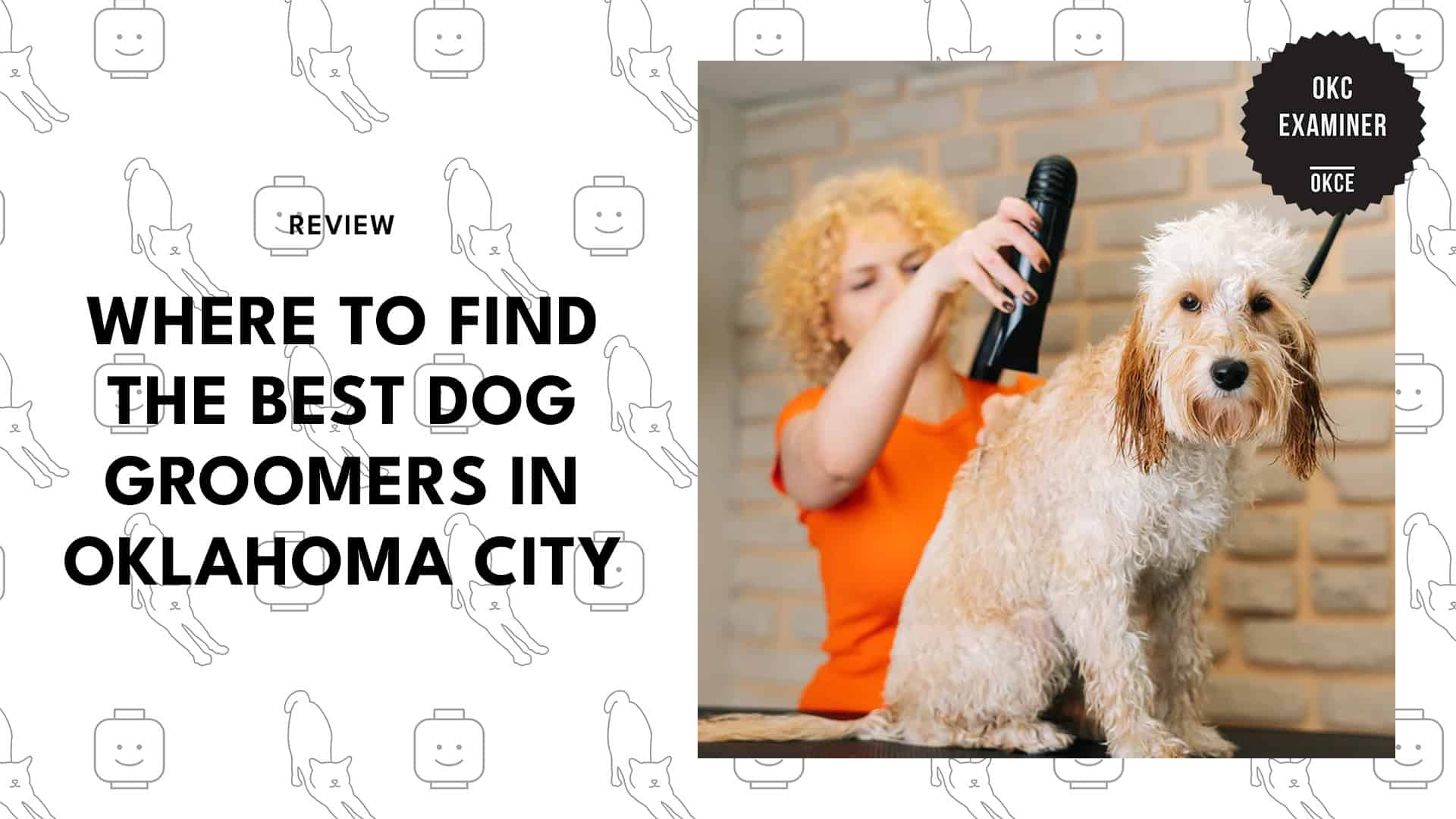 dog-grooming-oklahoma-city