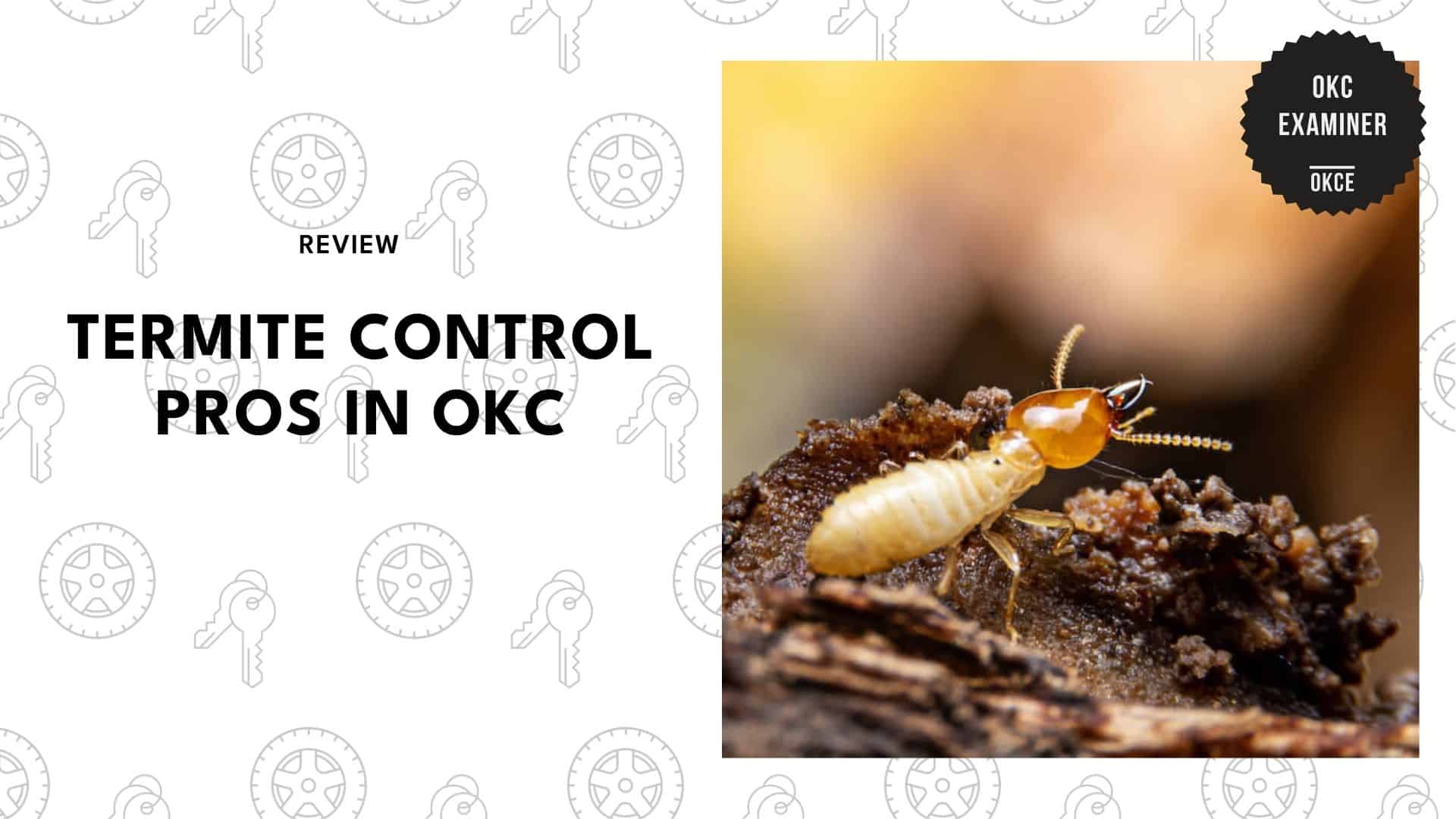 best-termite-control-oklahoma-city