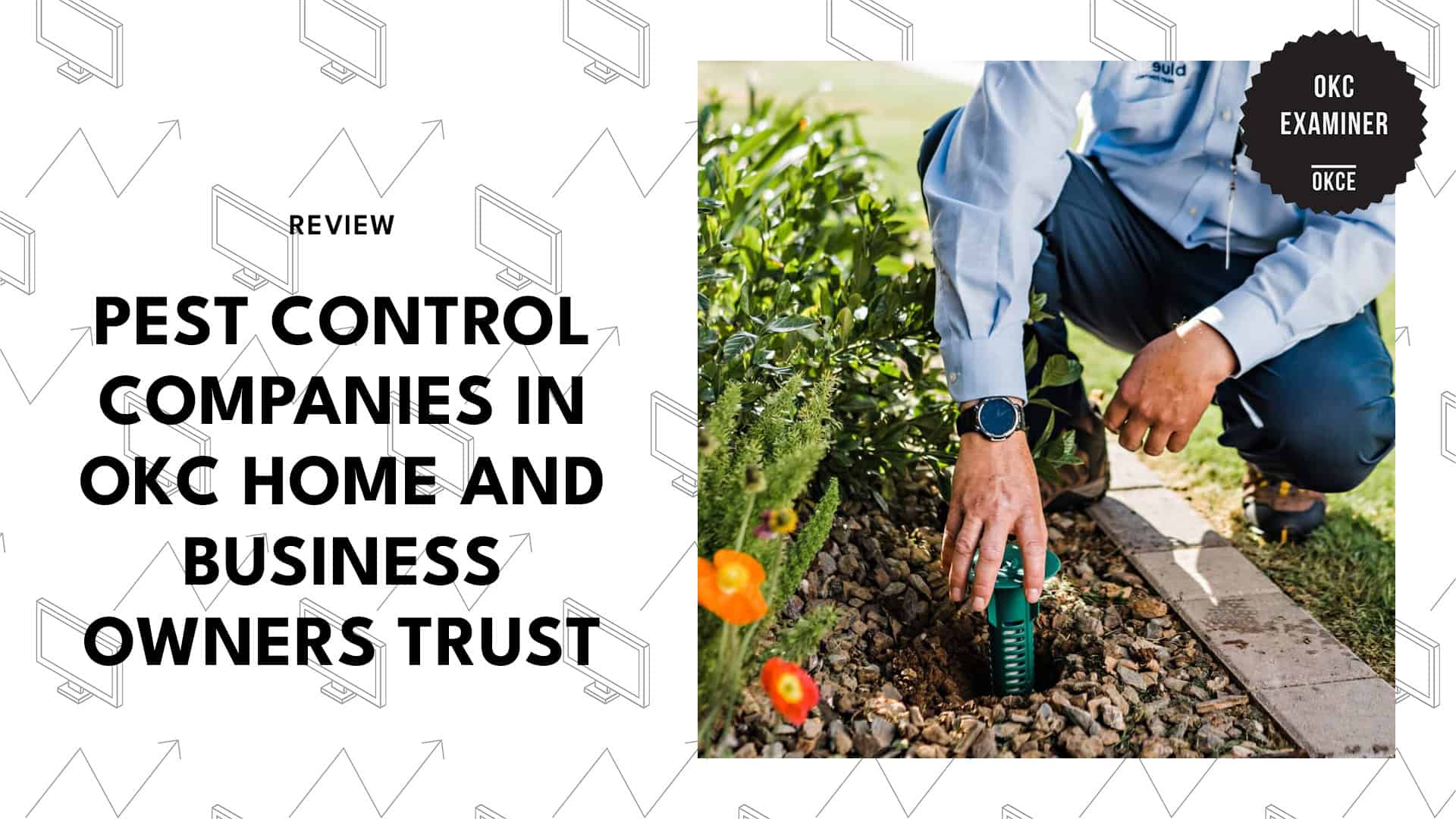 best-pest-control-oklahoma-city