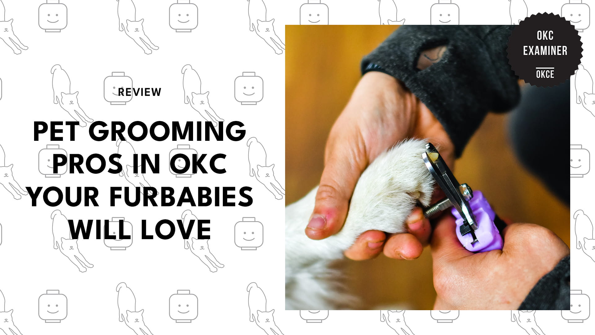 pet-grooming-oklahoma-city-banner