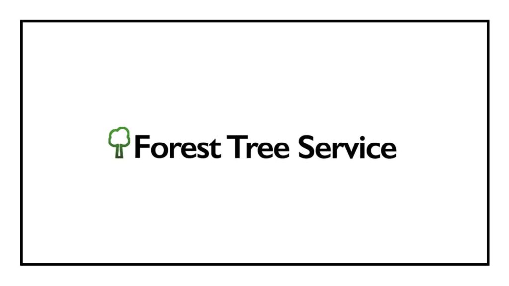 forest-tree-service
