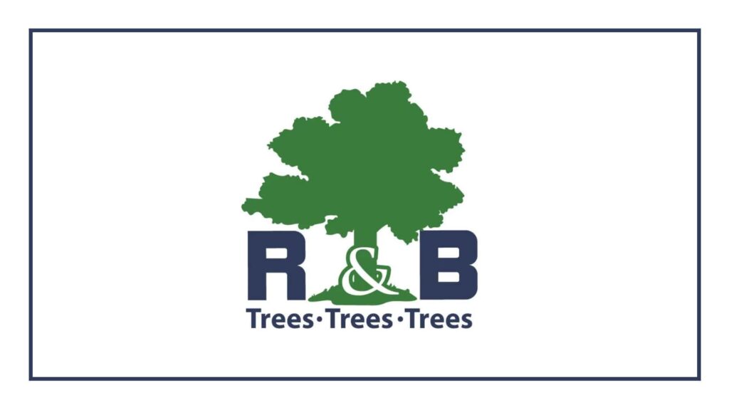 r-b-tree-service