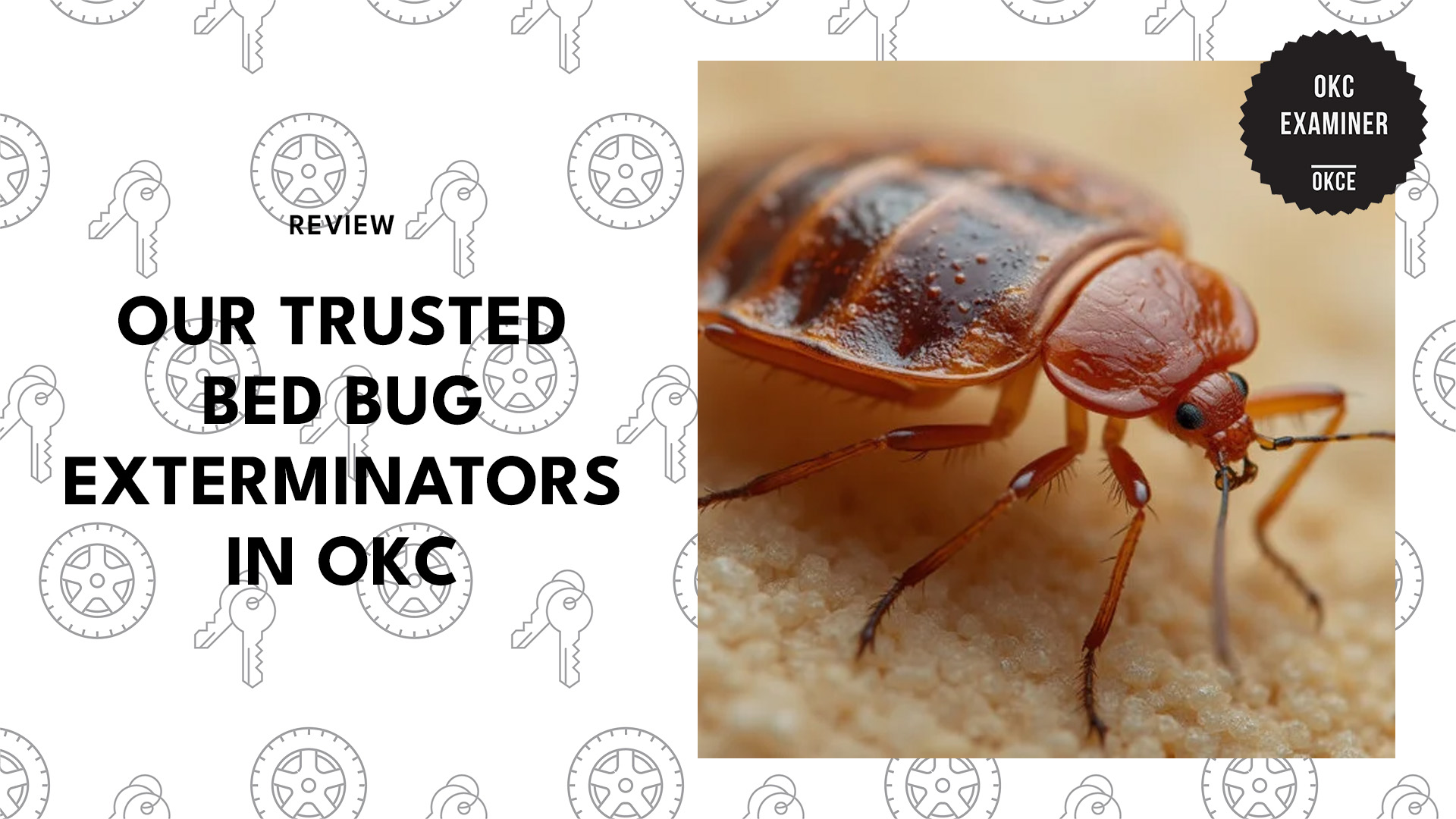 top-bed-bug-exterminators-oklahoma-city-banner