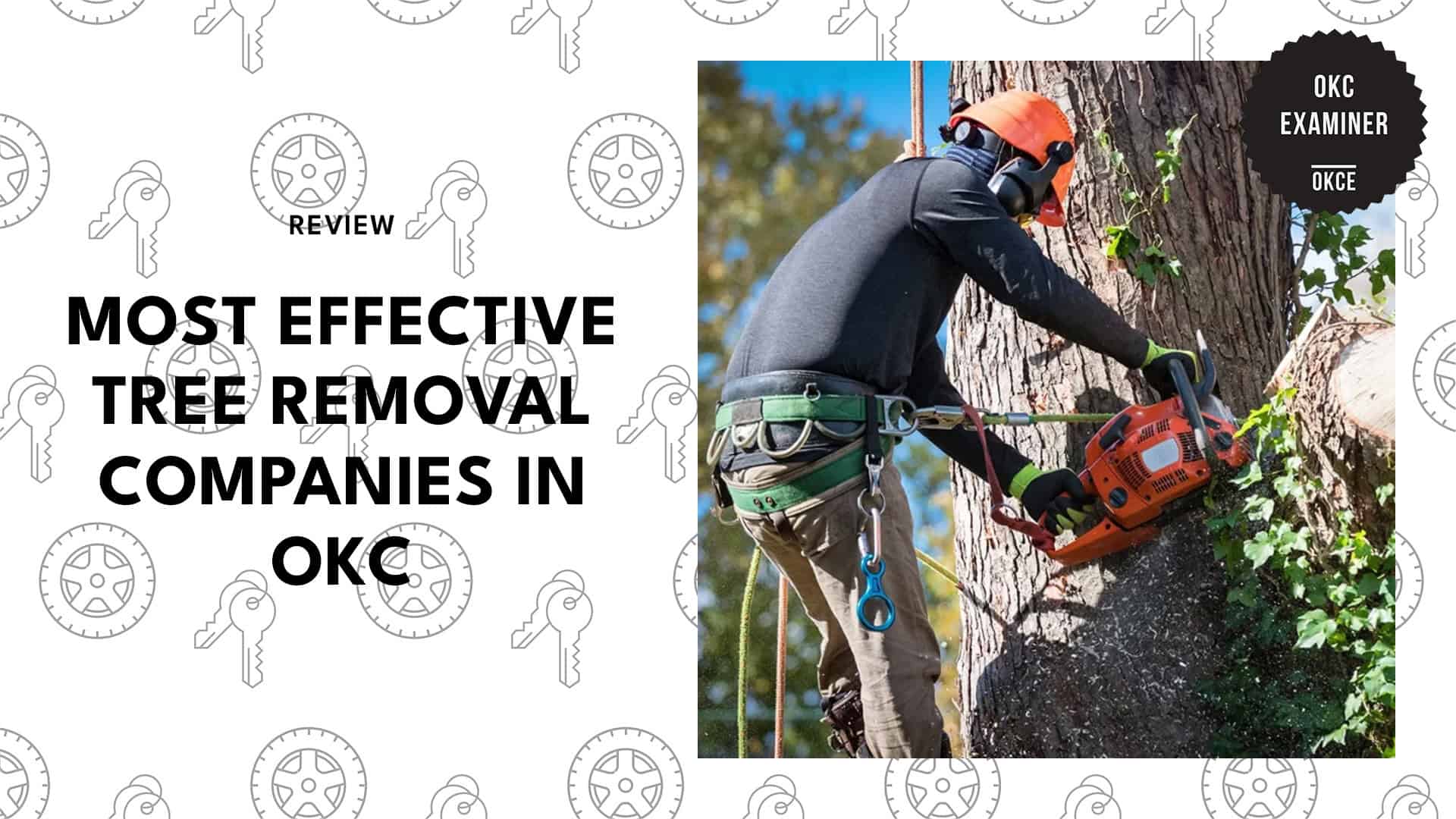 tree-removal-services-in-oklahoma-city