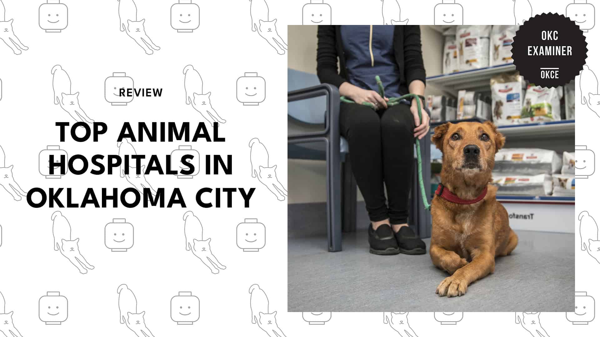 top-animal-hospitals-oklahoma-city
