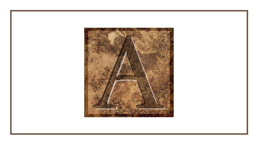 alexs-construction-co