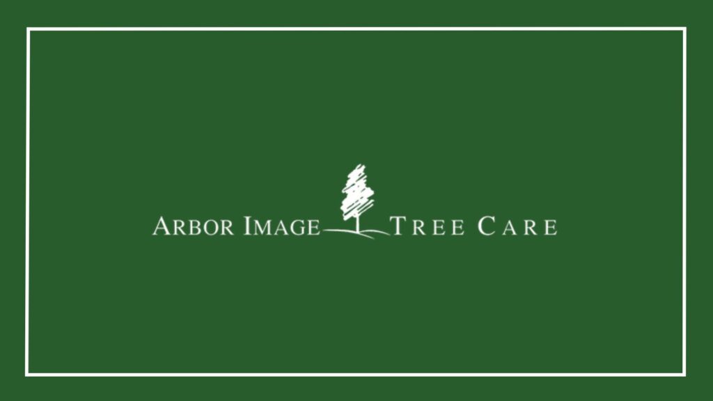 Arbor Image Tree Care